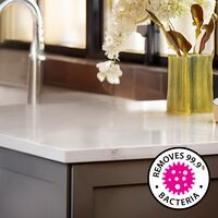 Stone Benchtop Cleaner