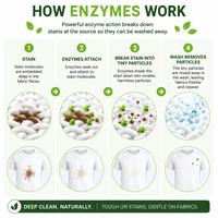 Natural Enzyme Soaker, In-Wash Booster, Stain Remover 5L Mixed Bundle